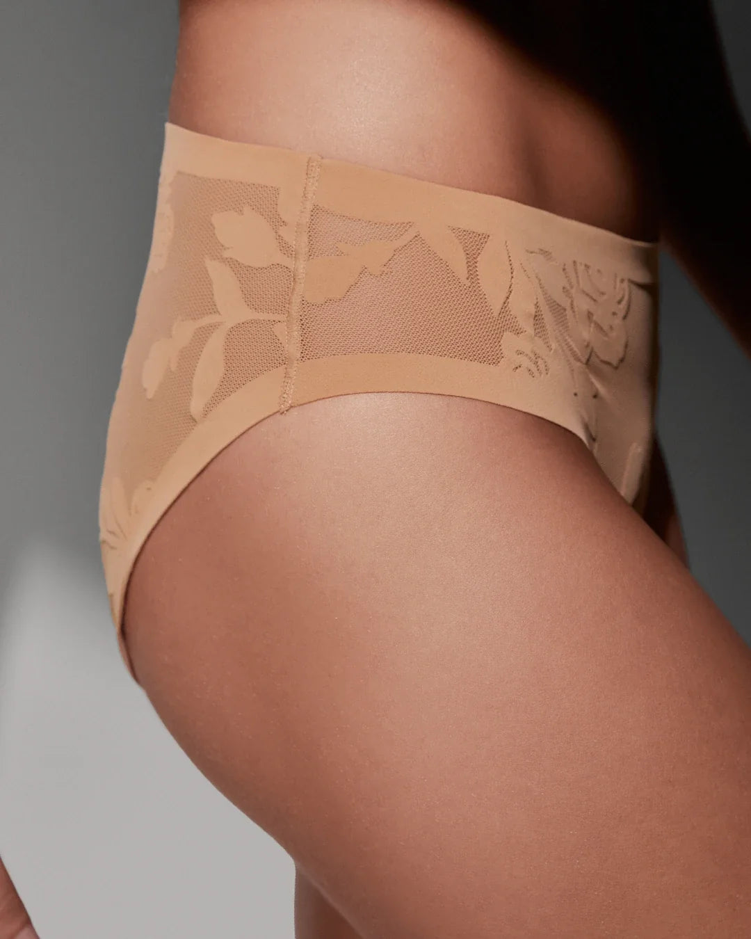 Madam Jolie Sheer Brief