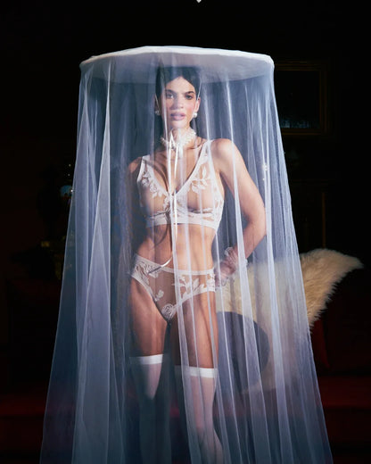 Madam Lux Sheer Brief
