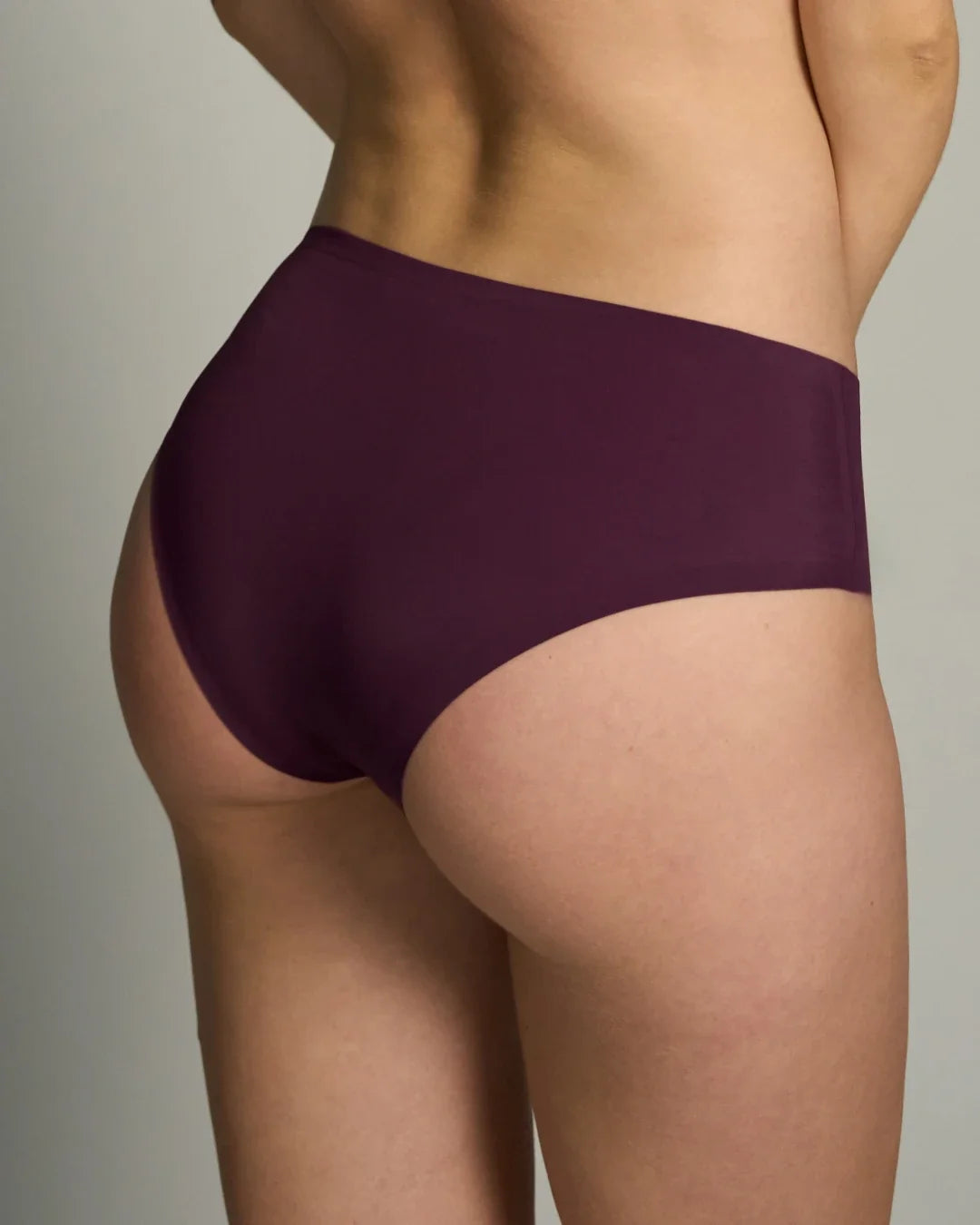 Merlot Brief v2