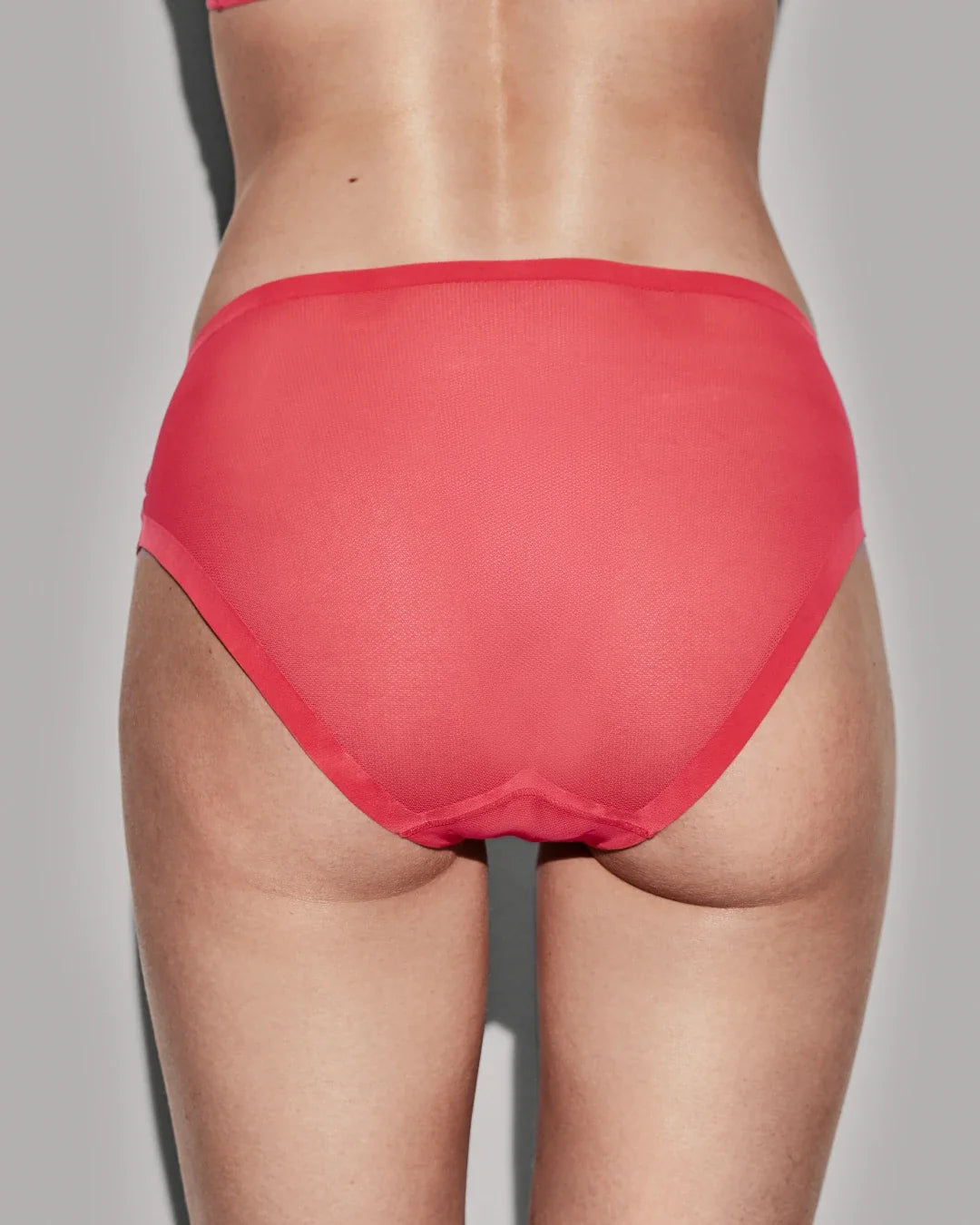 Poppy Sheer Brief